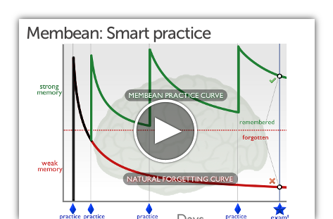 of meaning cognitive neuroscientist Membean Building Engaging  Comprehensive, Vocabulary